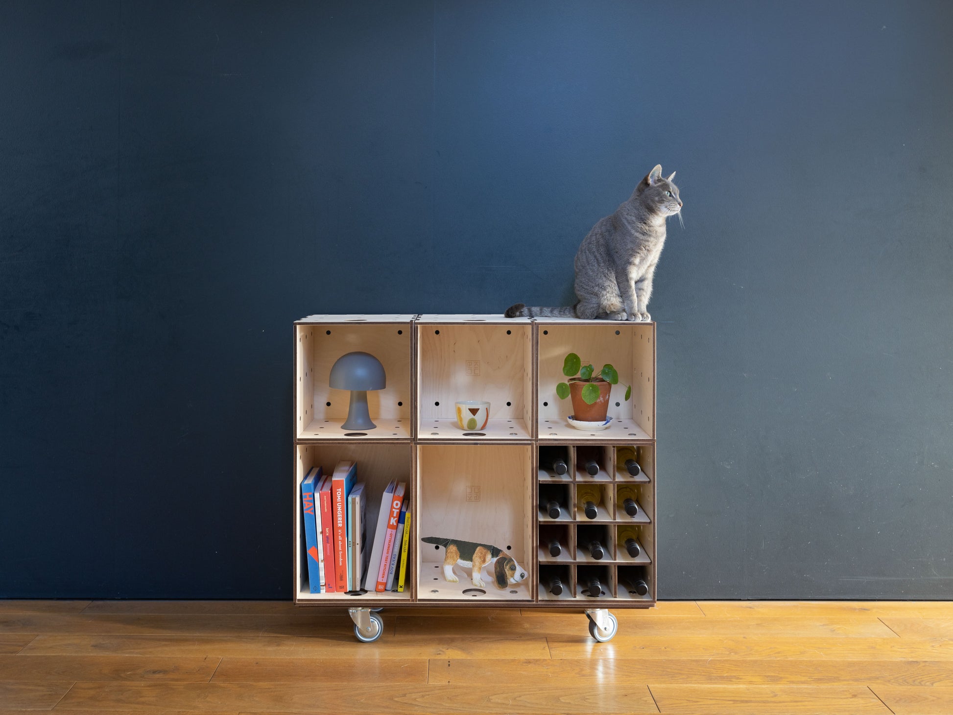 Vor einer dunkelblauen Wand steht ein modernes Designersideboard. In der Kommode auf Rollen sind Bücher eine Tasse  und zwölf Weinflaschen. Das Regal besteht aus Kisten, darauf sitzt eine graue Katze. In den einzelnen Weinkisten aus dem das Regal kombiniert ist sind Löcher. Es sieht aus wie ein selbst gebautes Holzregal bzw. Weinregal.